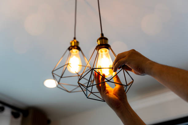 Best Outdoor Lighting Installation  in Walworth, WI